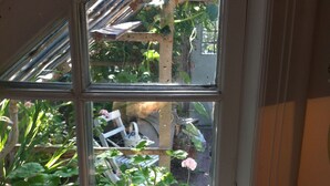 Una ventana con vista a un jardín, con plantas y una estructura de madera.