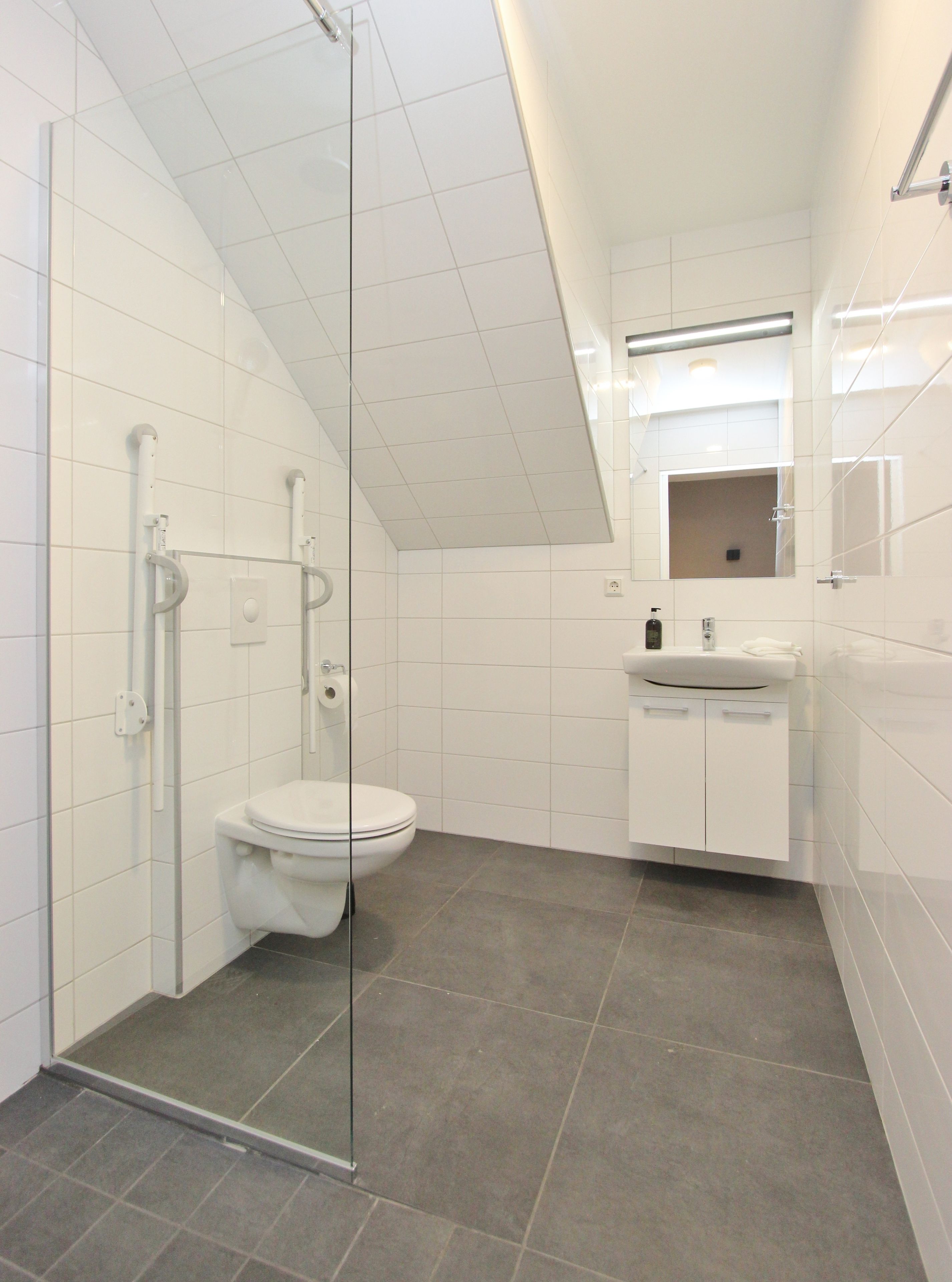 Un bagno moderno con cabina doccia in vetro, un water bianco e un lavabo con specchio soprastante.