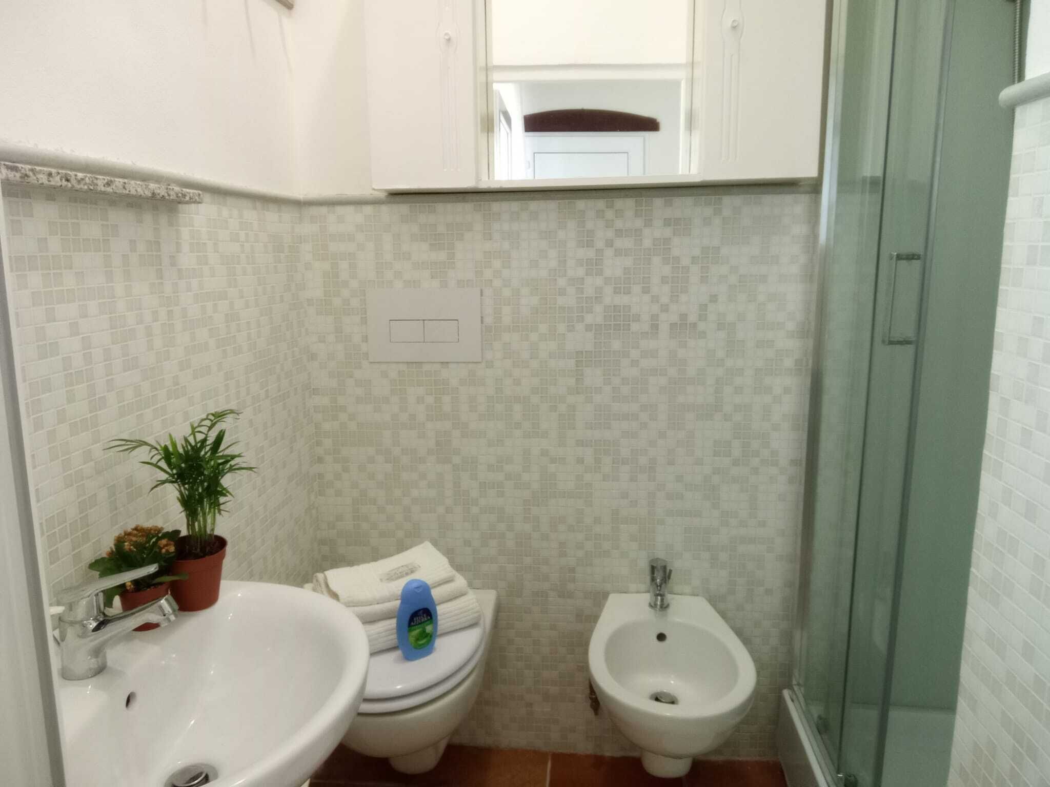 A bathroom with a sink, toilet, bidet, and a potted plant.