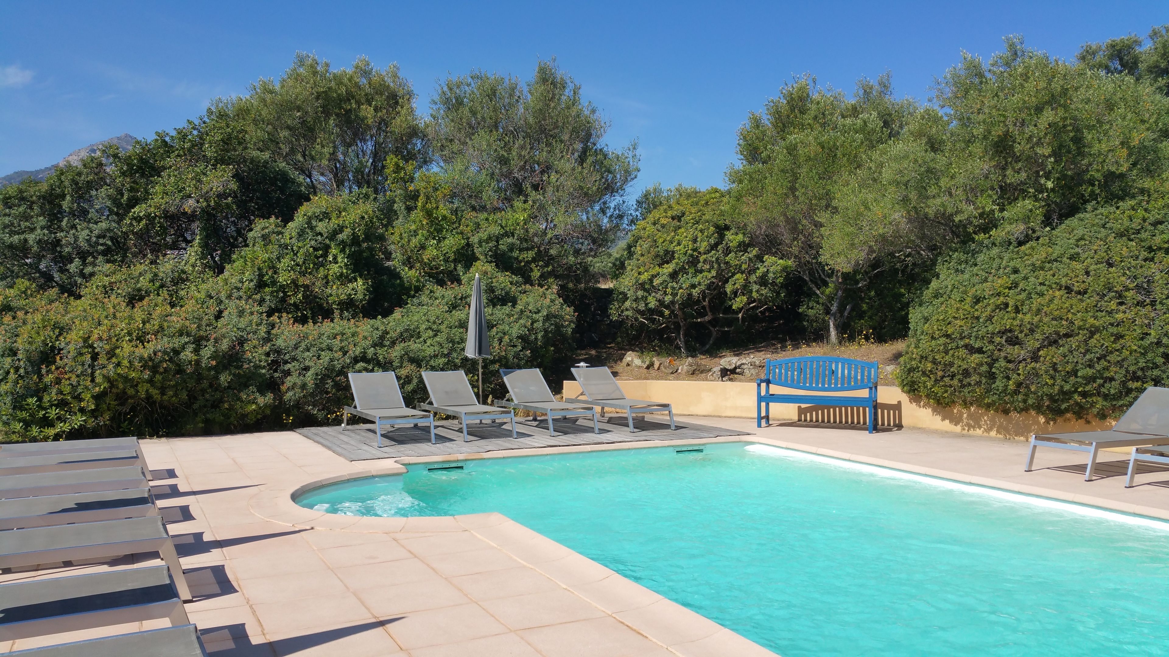 outdoor pool, pool loungers