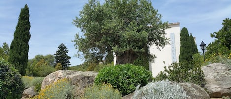 A garden with large rocks, a white building with a sign, and various trees.