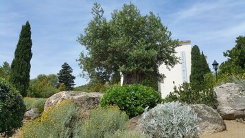 Jardin