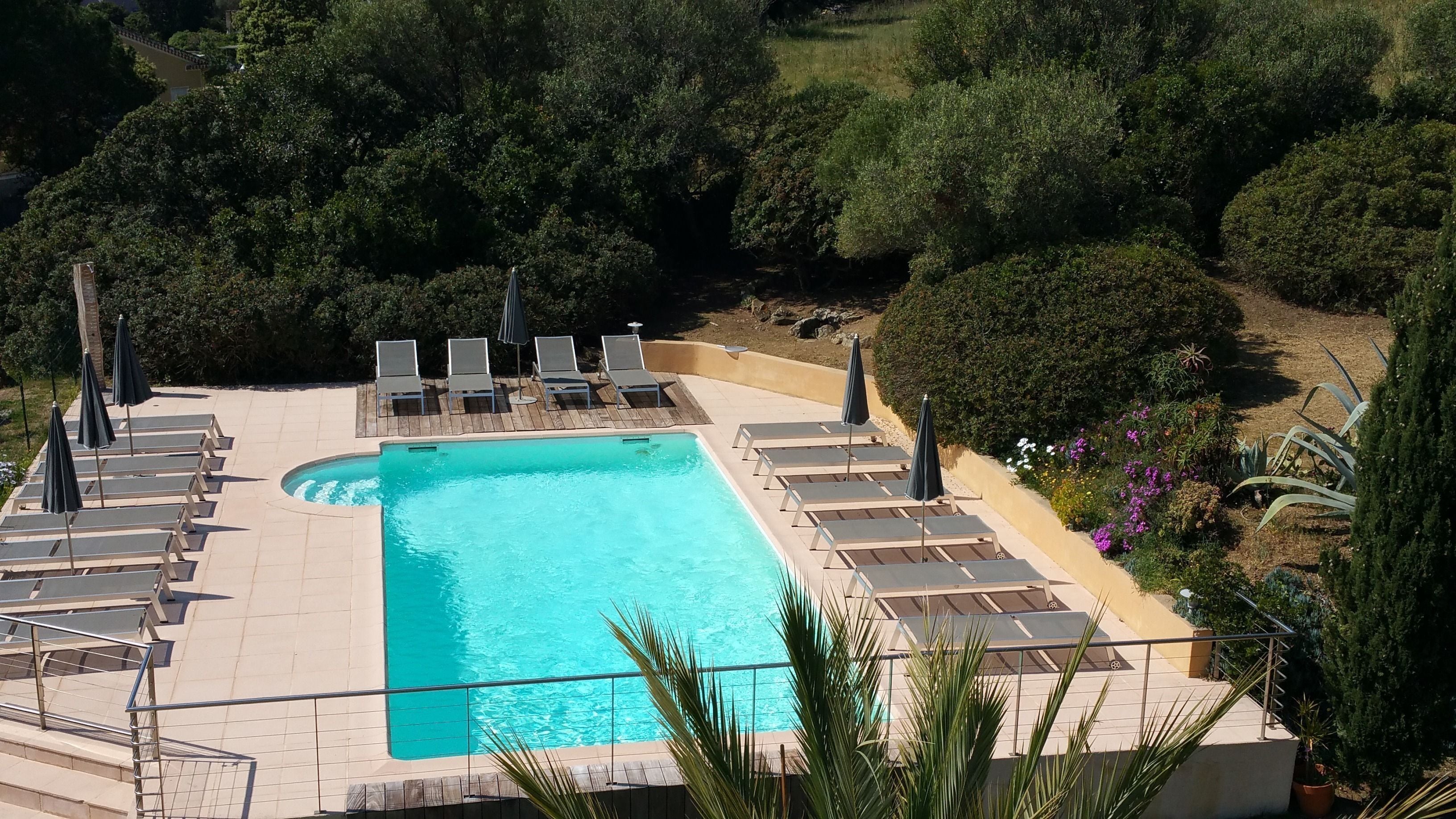 Une piscine rectangulaire entourée de verdure et dotée d’une terrasse en bois, avec des chaises longues et des parasols.