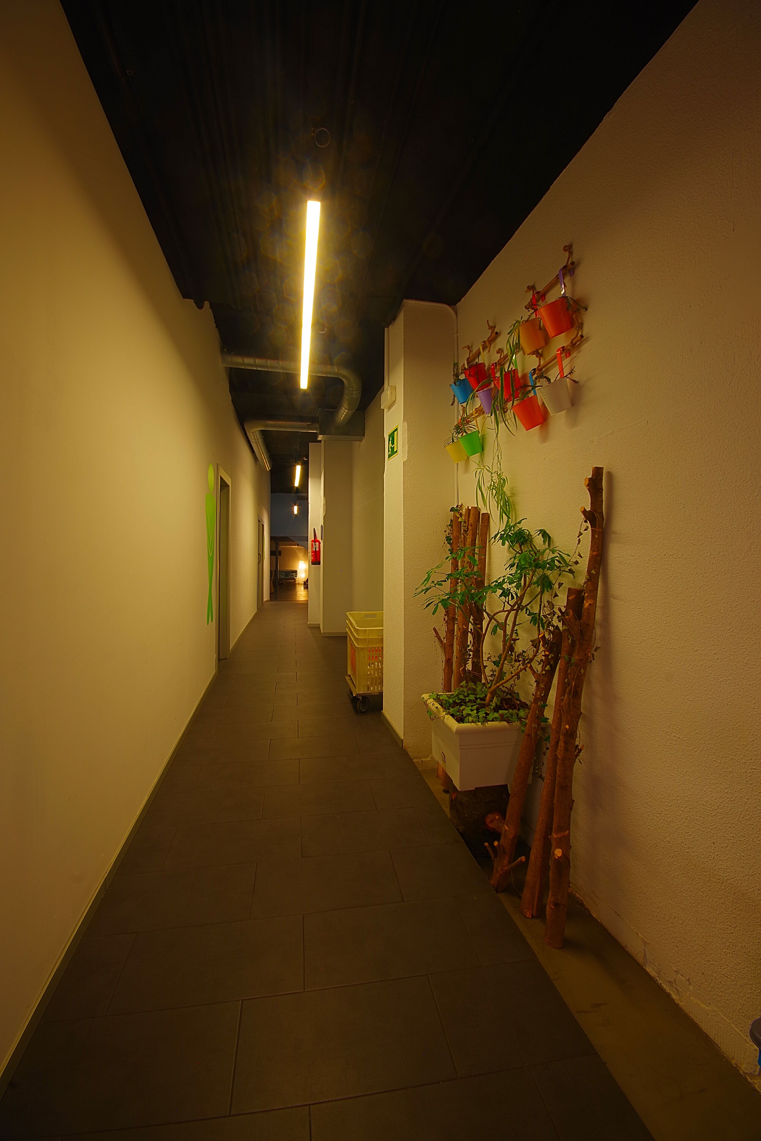 A hallway with a plant, a wall-mounted decoration, and a cart.