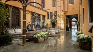 A spacious courtyard with a seating area, palm trees, and potted plants.