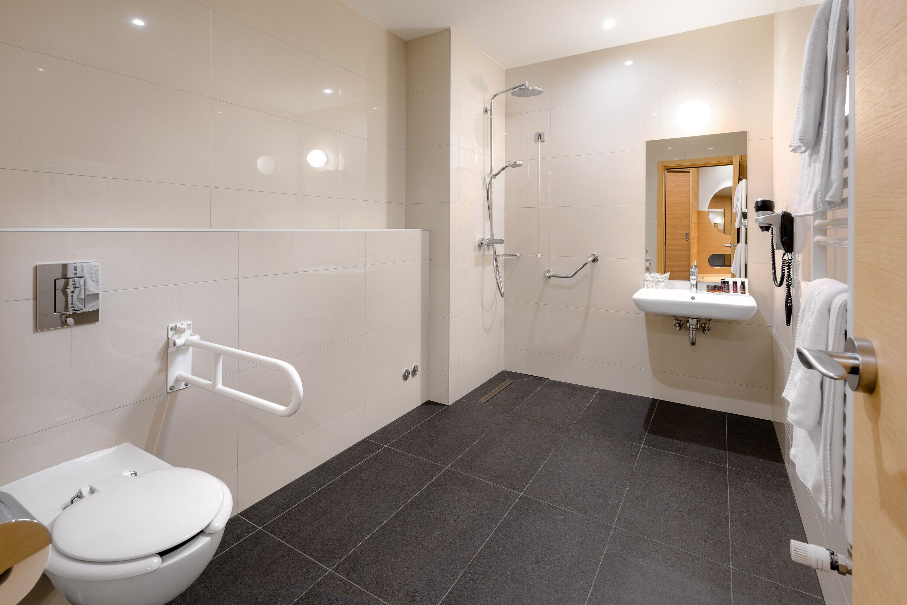 Une salle de bain moderne avec des toilettes blanches, une douche équipée d’un pommeau de douche à main, un lavabo avec un miroir et un porte-serviettes.