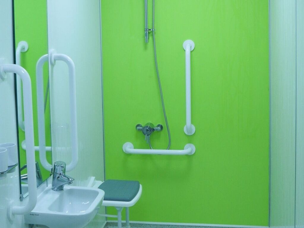 Ein Badezimmer mit grüner Wand, weißen Sanitärobjekten, einem Waschbecken und einer Handbrause.