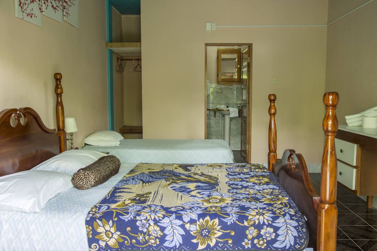 Escritorio, wifi gratis, ropa de cama