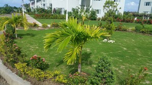Ein gepflegter Garten mit Palmen, Sträuchern und einem Weg zu einem Gebäude.