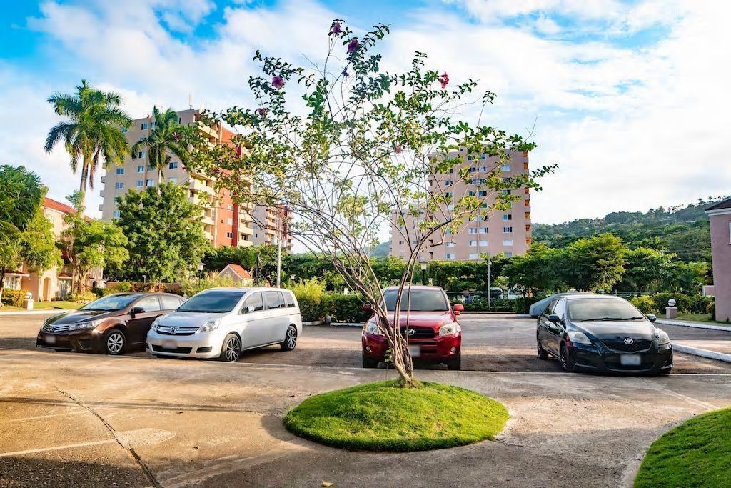 A parking lot with several cars, a small tree, and residential buildings in the background.