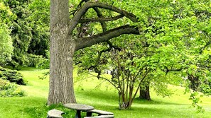 A stone bench under a large tree in a park with lush green grass and trees.