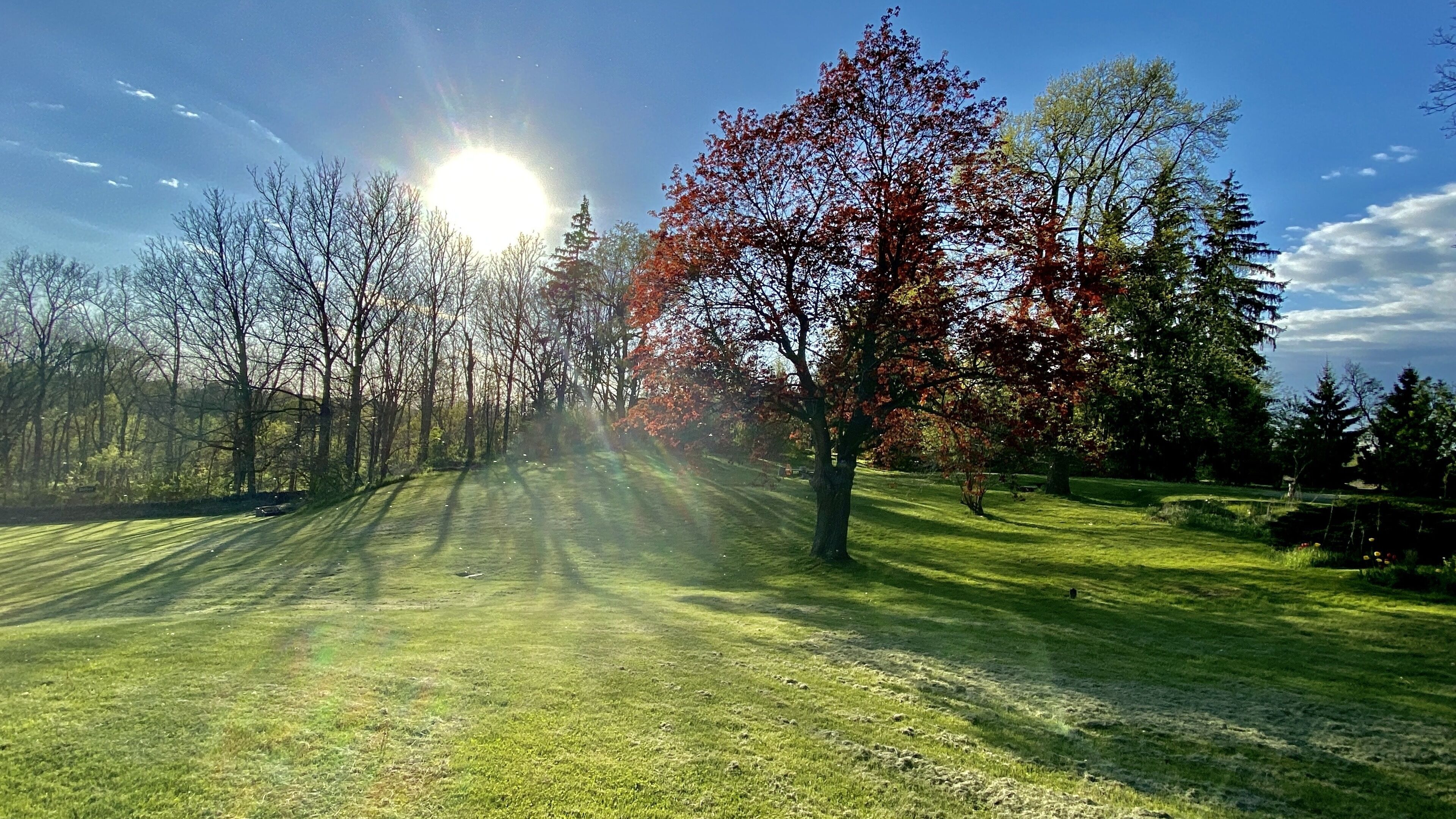 Un parque con un sendero iluminado por el sol, árboles y una zona cubierta de césped.