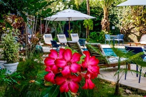 Jardín