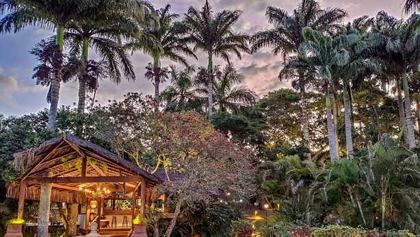 Un gazebo rustico in legno con tetto di paglia, immerso nel verde e circondato da palme.