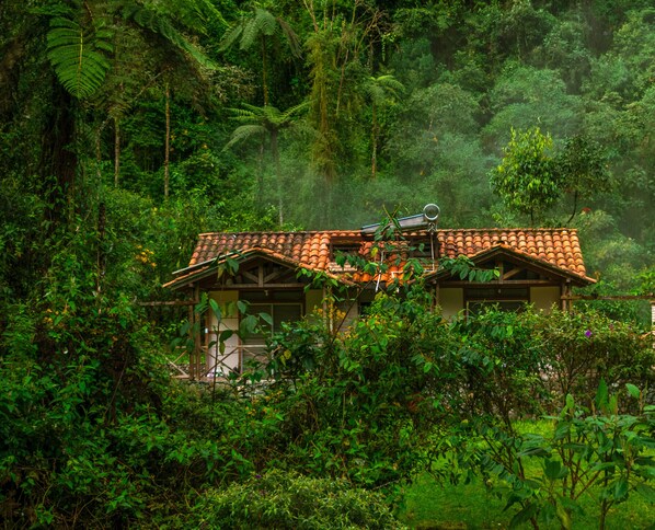 A house with a tiled roof surrounded by dense green foliage.