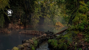 A serene natural setting with a stone pathway leading to a calm body of water, surrounded by lush greenery and a misty atmosphere.
