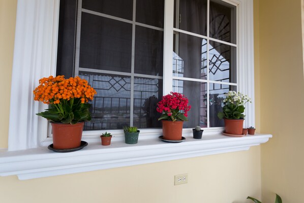 Un alféizar con diversas macetas de plantas.