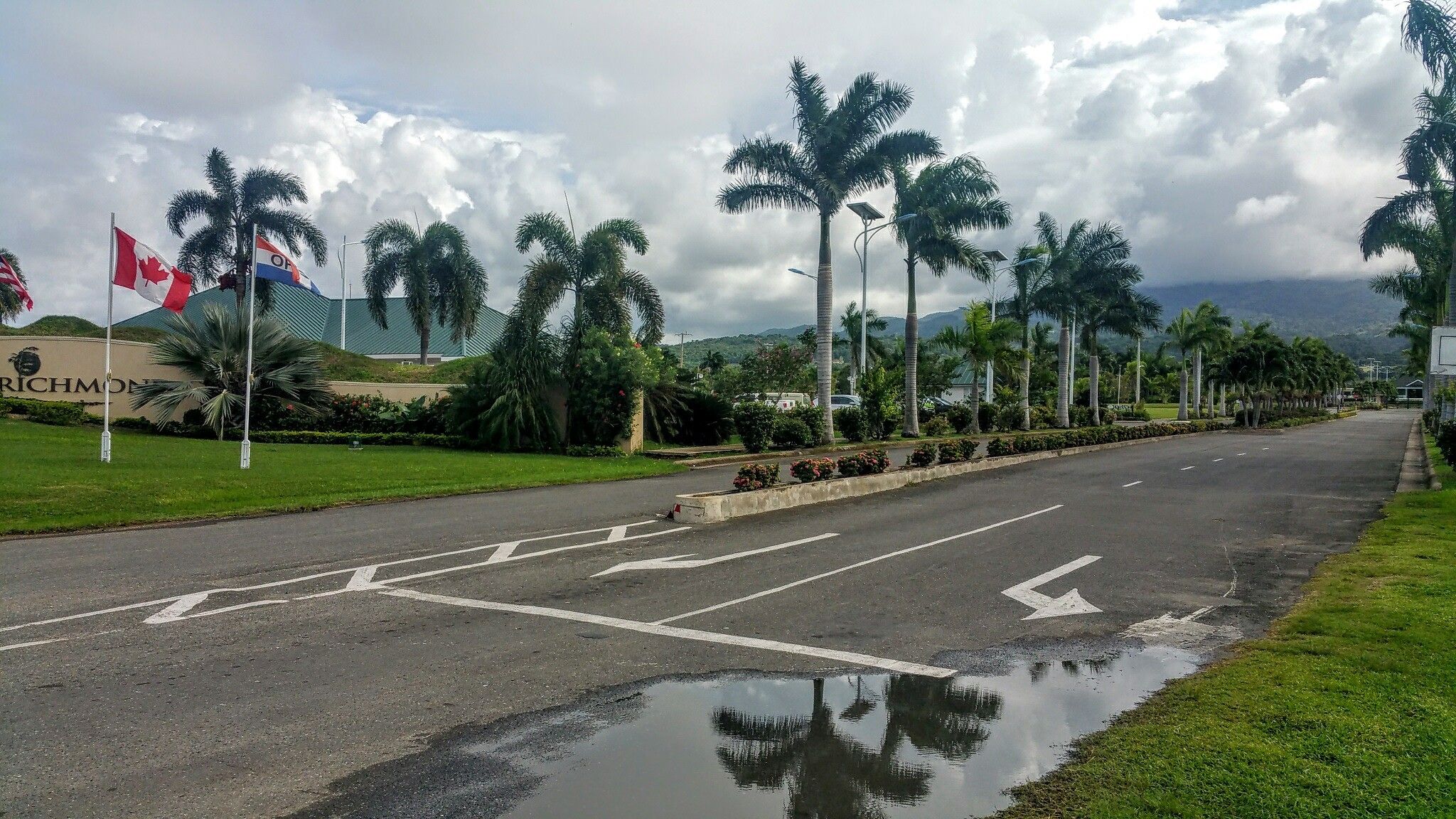 A road with palm trees and a building with flags.
