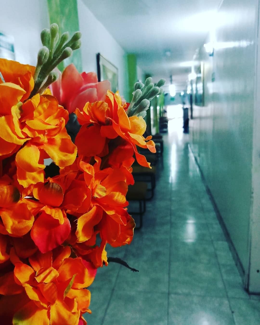 Foto - Hotel Bogotá Central