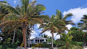 Una propiedad frente a la playa con una casa grande rodeada de palmeras y exuberante vegetación.