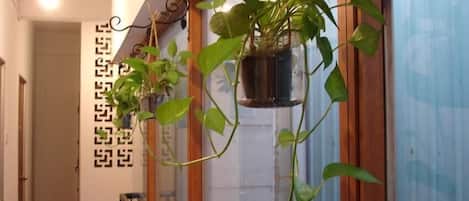 A hallway with hanging plants, a patterned wall, and a blue curtain.