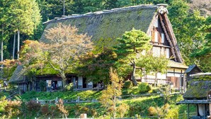 Una casa japonesa tradicional amb un teulat de palla, envoltada de vegetació i arbres frondosos.