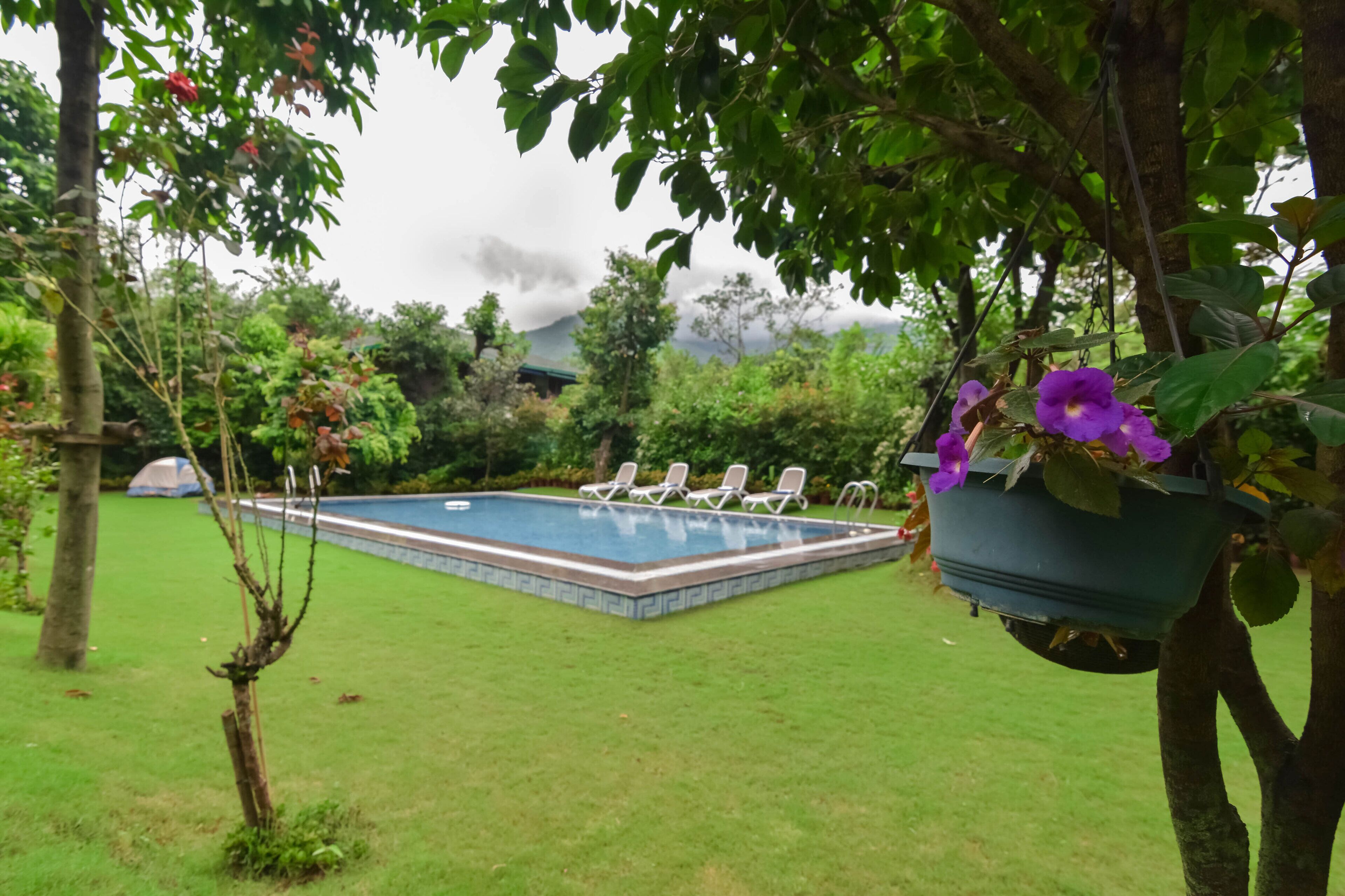 A swimming pool with lounge chairs, surrounded by lush greenery and a hanging flower pot.