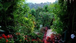 Un sentier de jardin bordé de plantes et de fleurs en pot.
