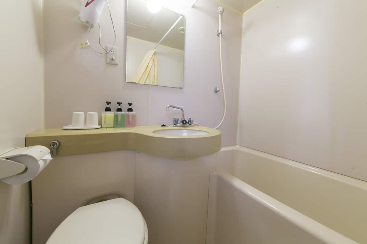 combined shower/bathtub, free toiletries, hair dryer, slippers