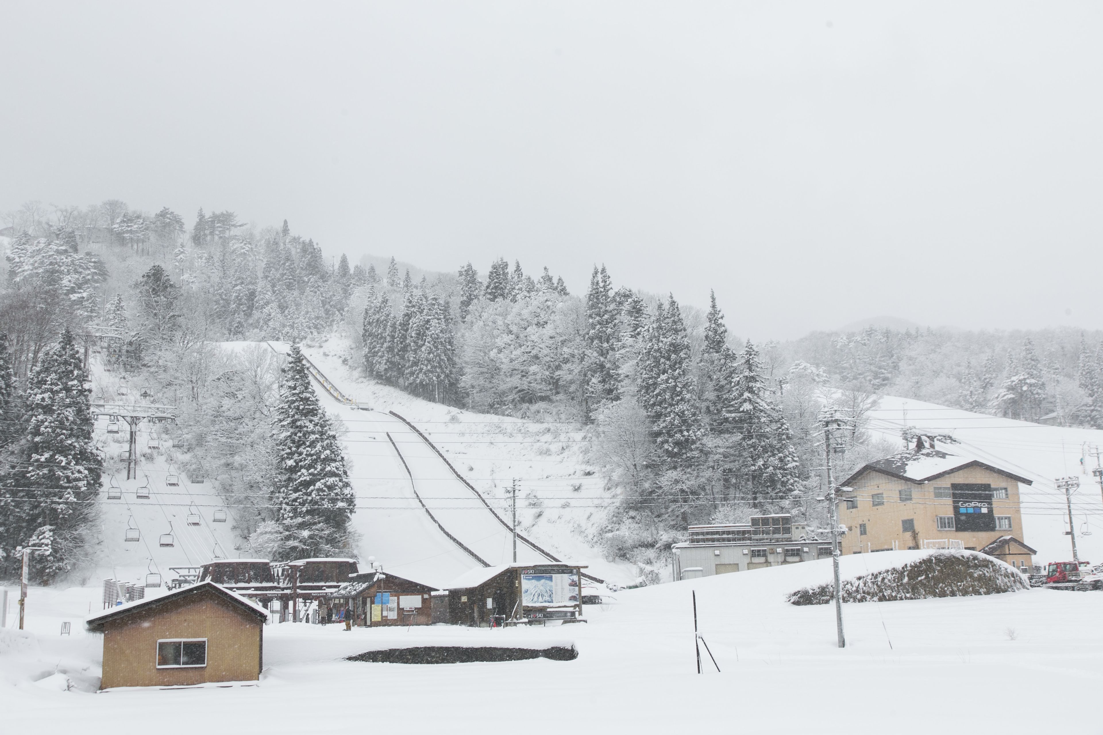 リゾートホテル ローゼンハイム白馬 長野県 白馬 小谷 その他 おすすめ人気宿泊プラン一覧 トラベルjp