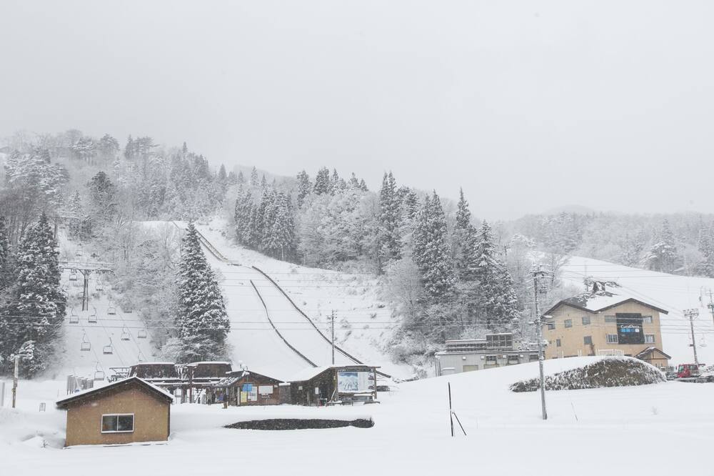リゾートホテル ローゼンハイム白馬 長野県 白馬 小谷 その他 おすすめ人気宿泊プラン一覧 トラベルjp リゾートホテル ローゼンハイム白馬 長野県 白馬 小谷 その他 おすすめ人気宿泊プラン一覧 トラベルjp