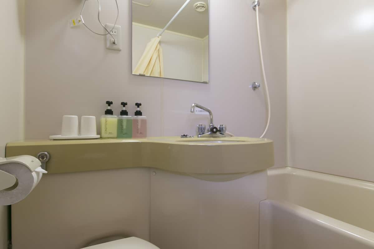 combined shower/bathtub, free toiletries, hair dryer, slippers