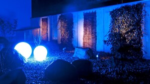A building with a modern design, featuring a large illuminated sphere and a wall covered in climbing plants.