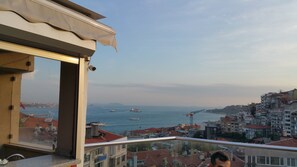 Terras