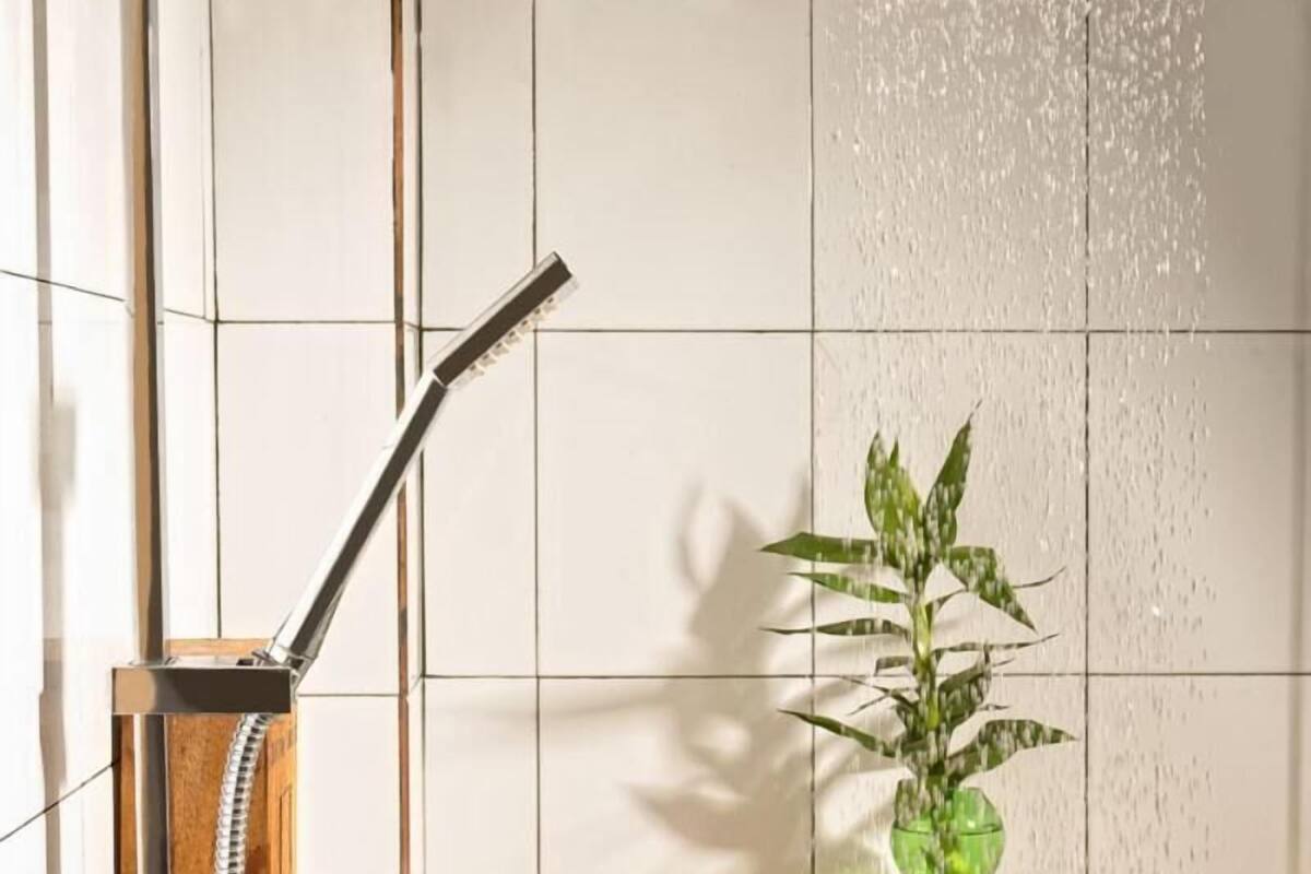 shower, free toiletries, hair dryer, slippers