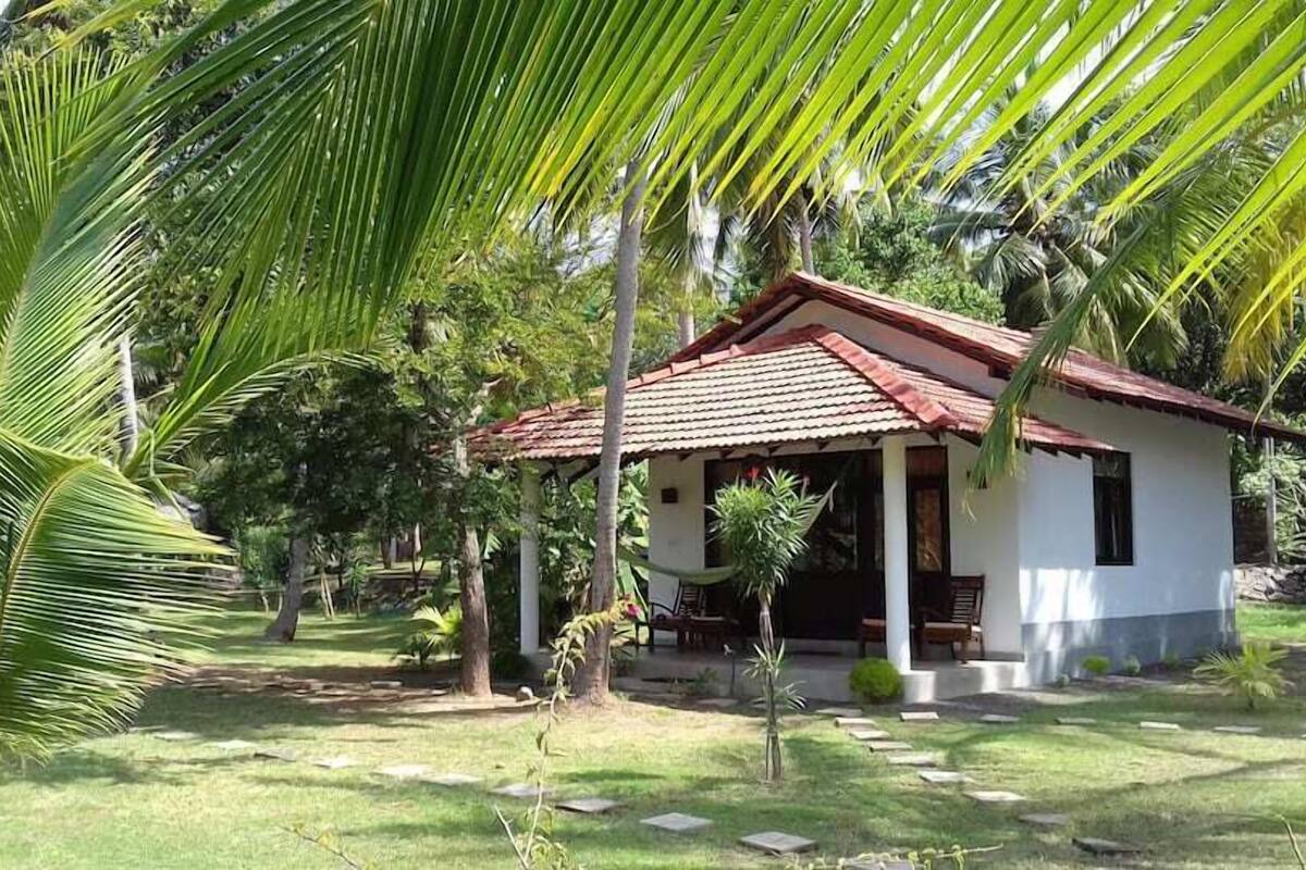 A small white building with a red roof, surrounded by lush greenery and palm trees.