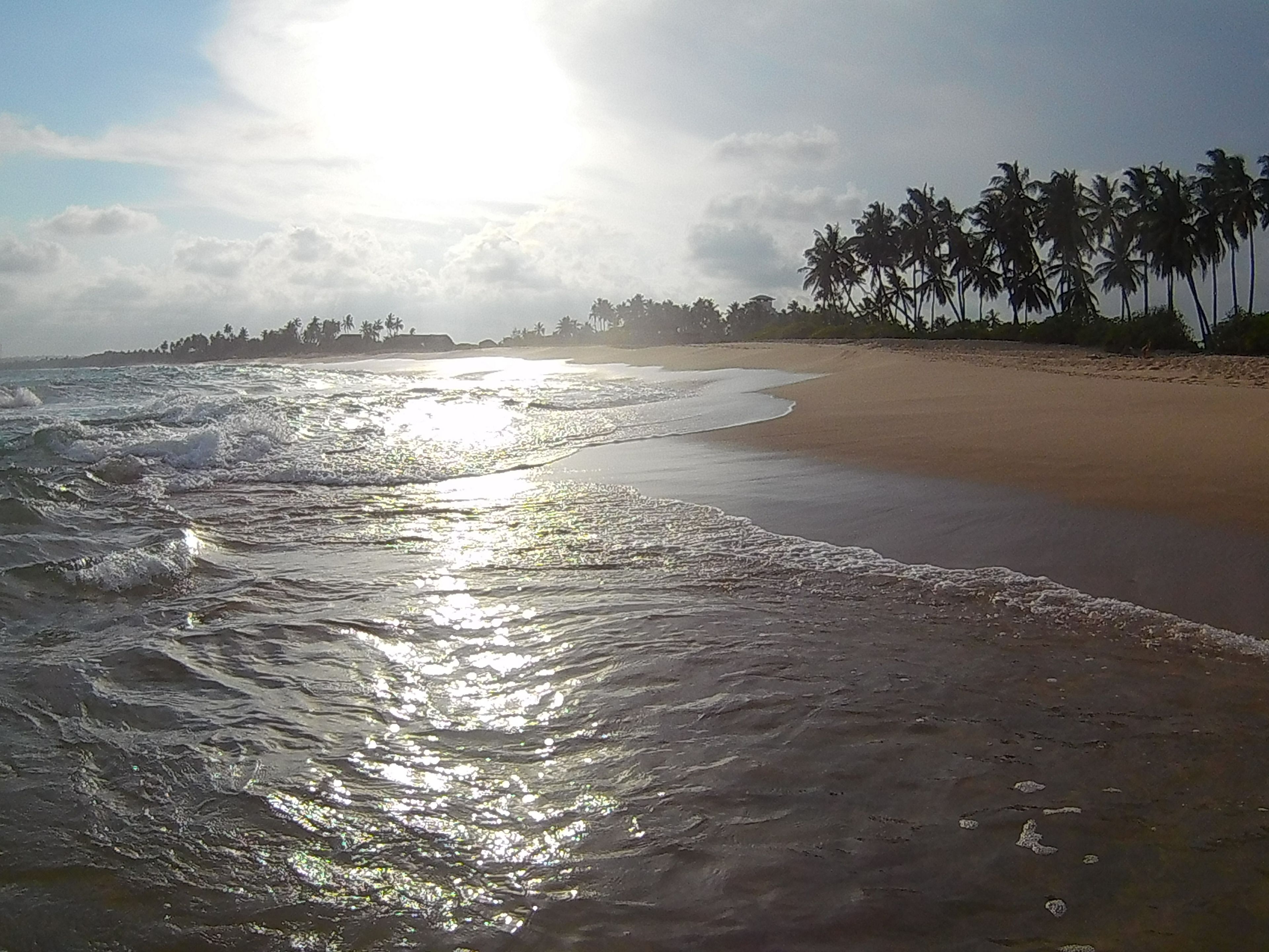 A beach with waves, palm trees, and a clear sky.