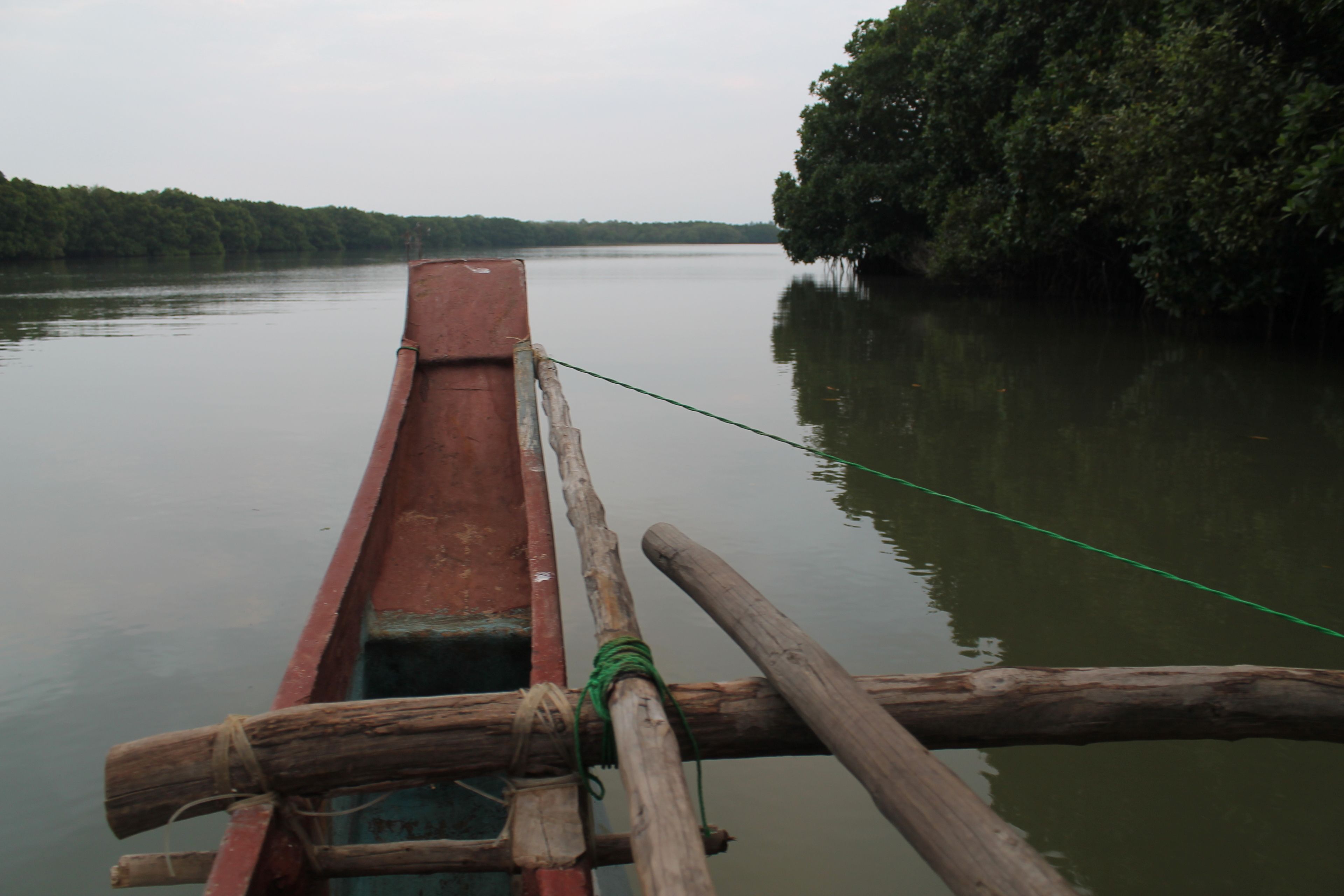 Un bote de madera con una cuerda atada a su costado, flotando sobre aguas tranquilas con un bosque denso a la derecha.