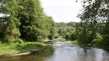 Een rivier die door een dichtbegroeid bos stroomt.