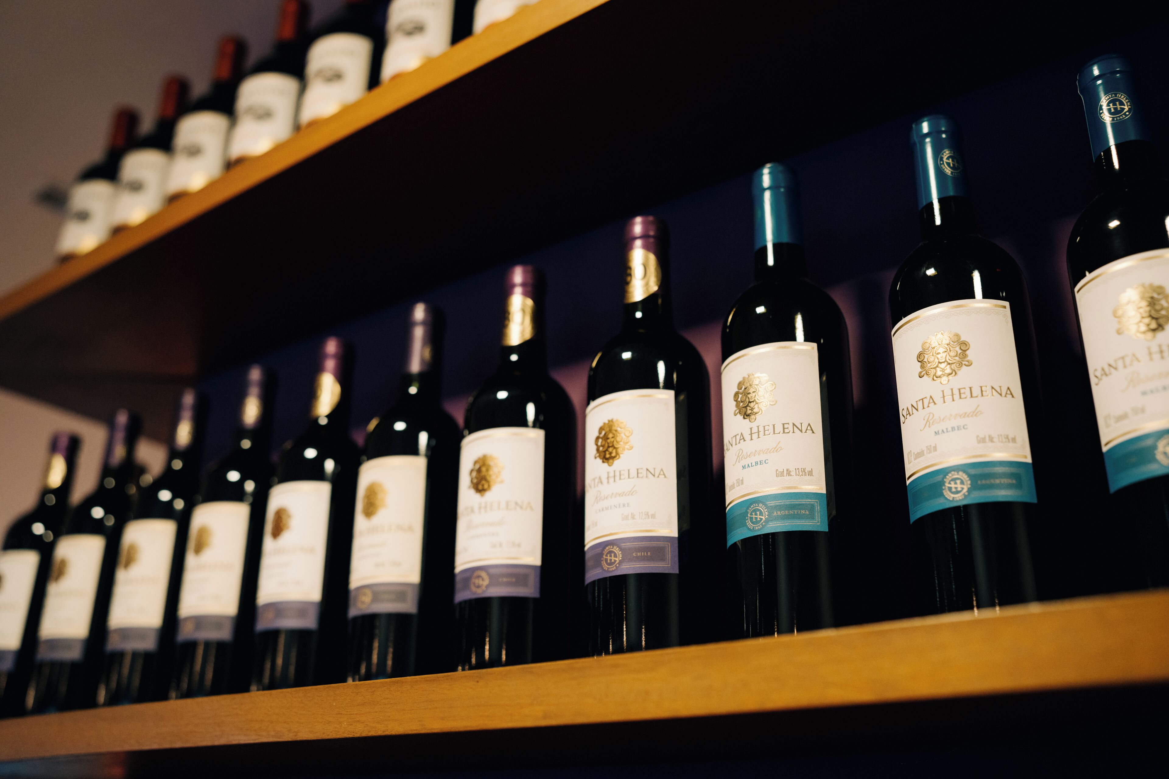 Várias garrafas de vinho dispostas em prateleiras.