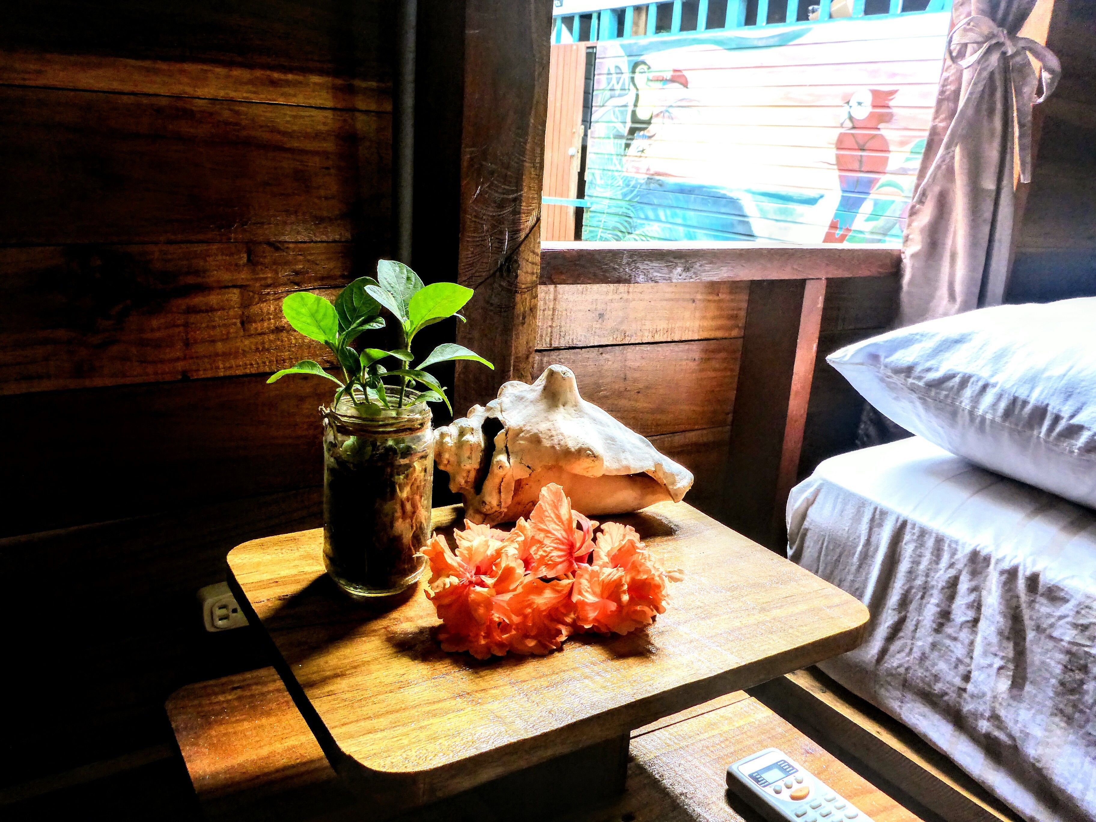 A wooden table with a plant, a decorative skull, and orange flowers.