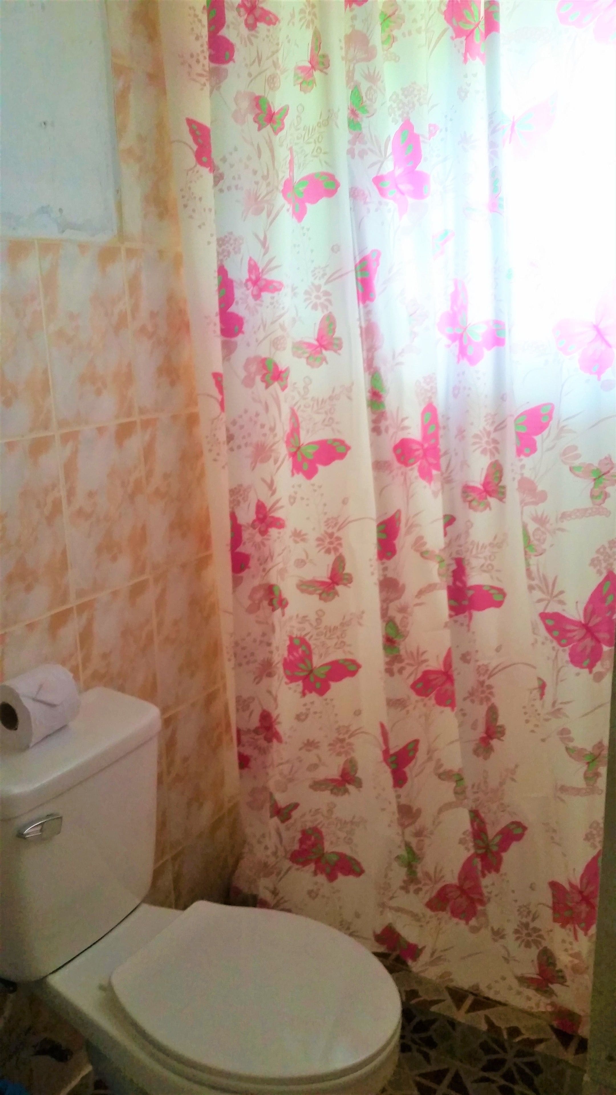 A bathroom with a toilet, a roll of toilet paper, and a shower curtain with a floral pattern.