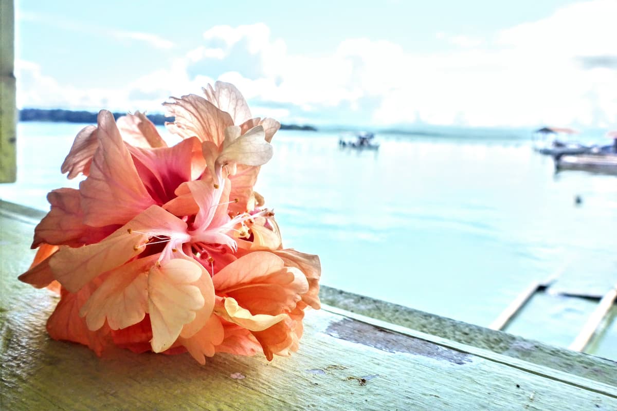 Eine Blume auf einer Holztischplatte mit Blick auf ruhiges Wasser und Boote in der Ferne.