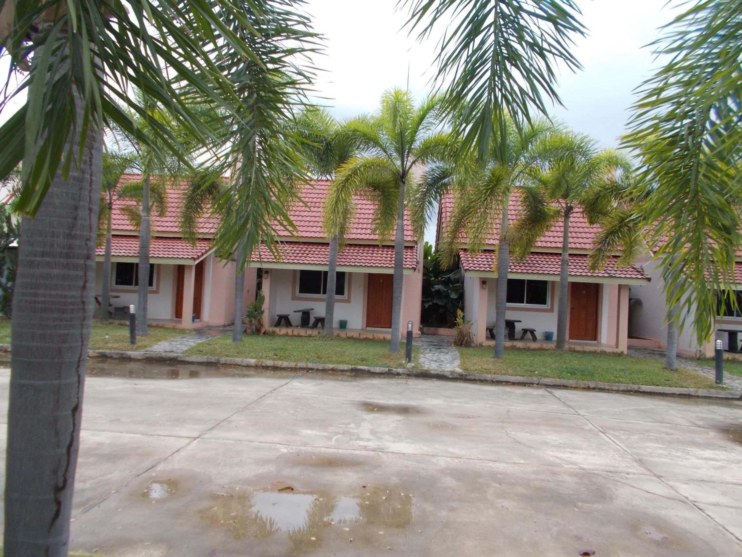 A row of single-story buildings with a red-tiled roof, surrounded by palm trees.