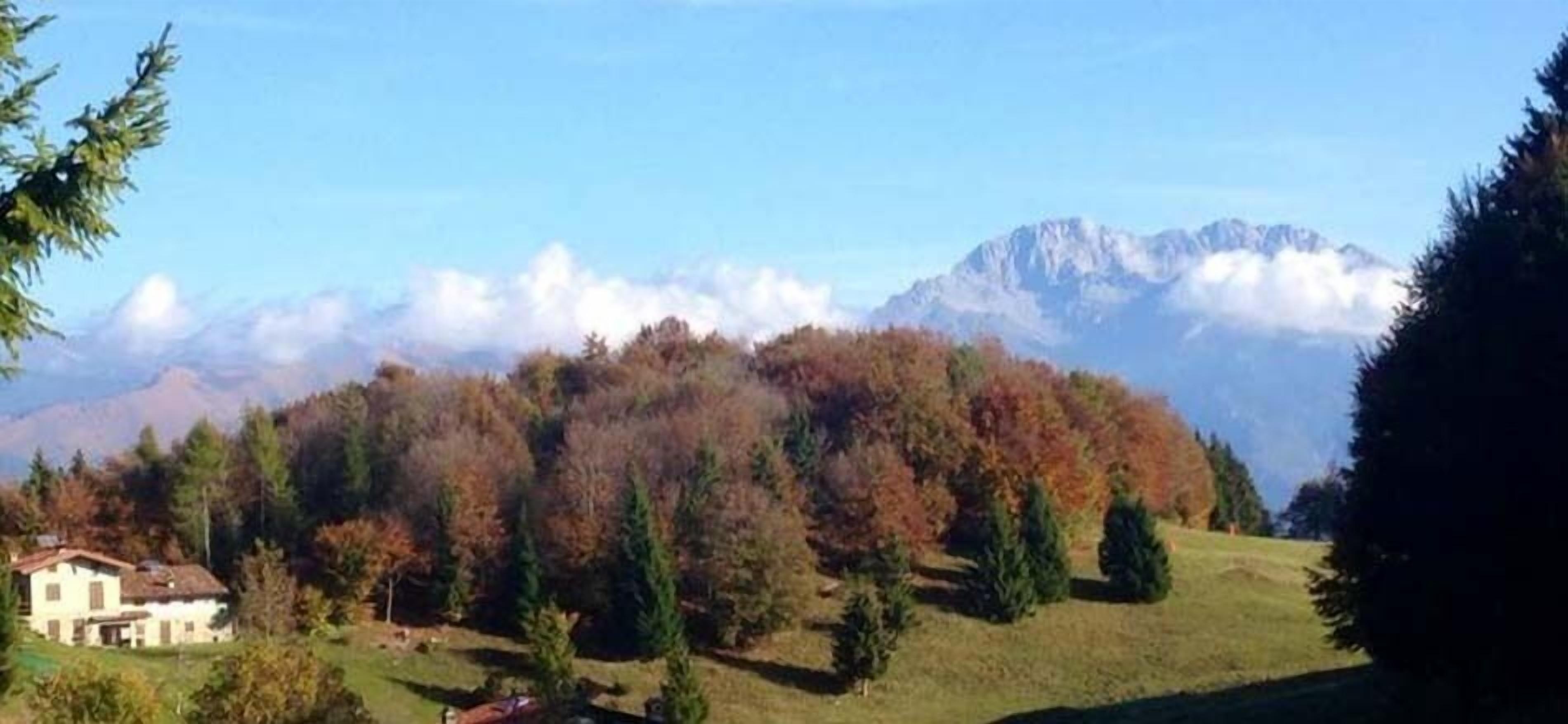 A house surrounded by a forest with autumn foliage and a mountain range in the background.