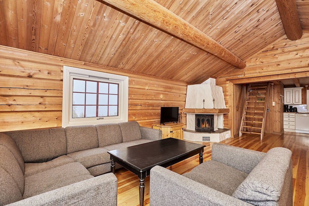 Family Cabin, 3 Bedrooms, Mountain View, Mountainside (Oddmundstogo) | Living area | Flat-screen TV, fireplace