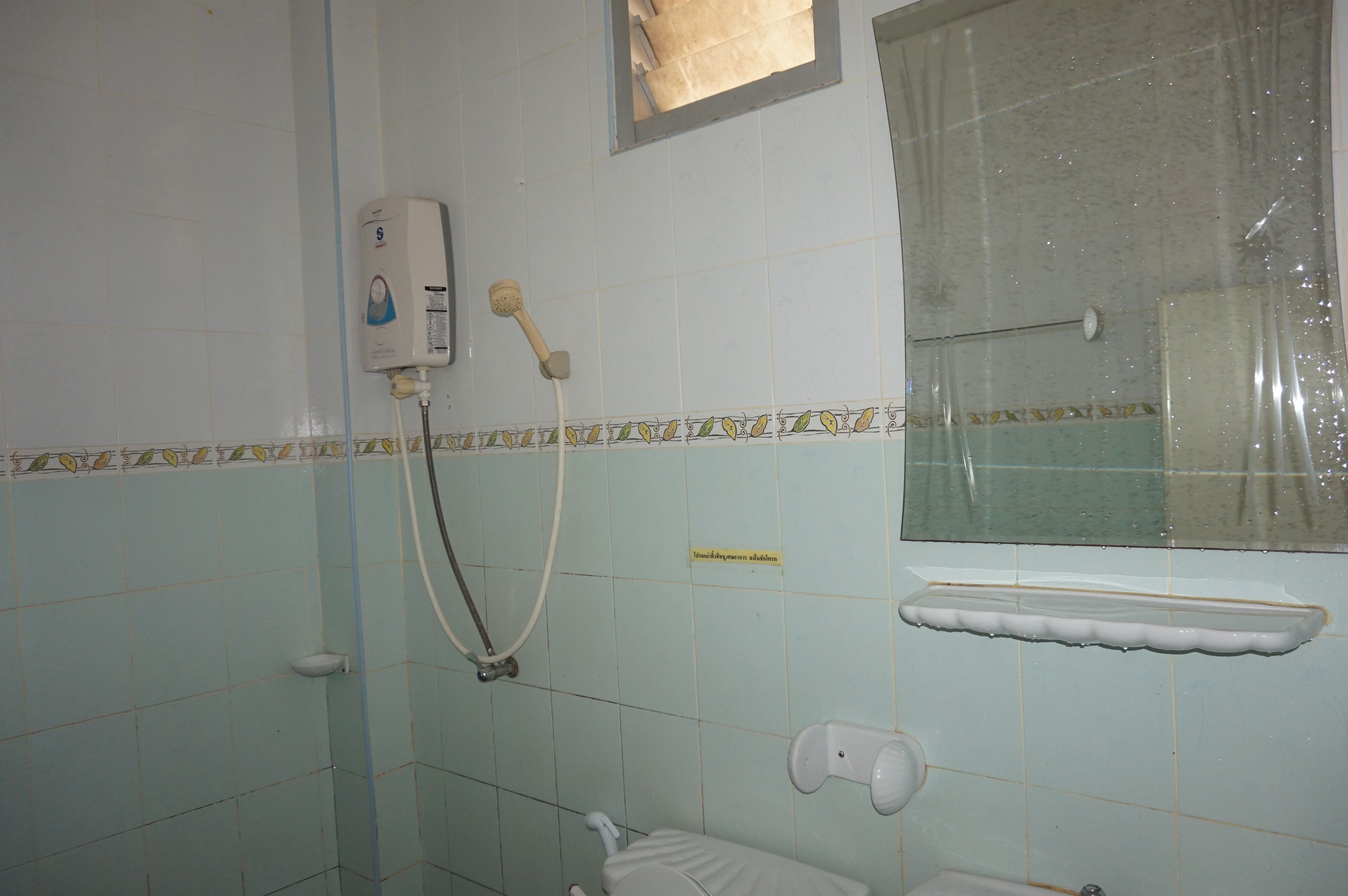 A bathroom with a toilet, a shower, and a window.