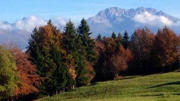 Eine Berglandschaft mit herbstlich gefärbten Bäumen und einem grasbewachsenen Hügel.