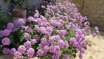 花園