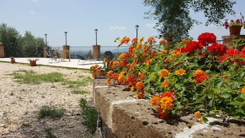 花園